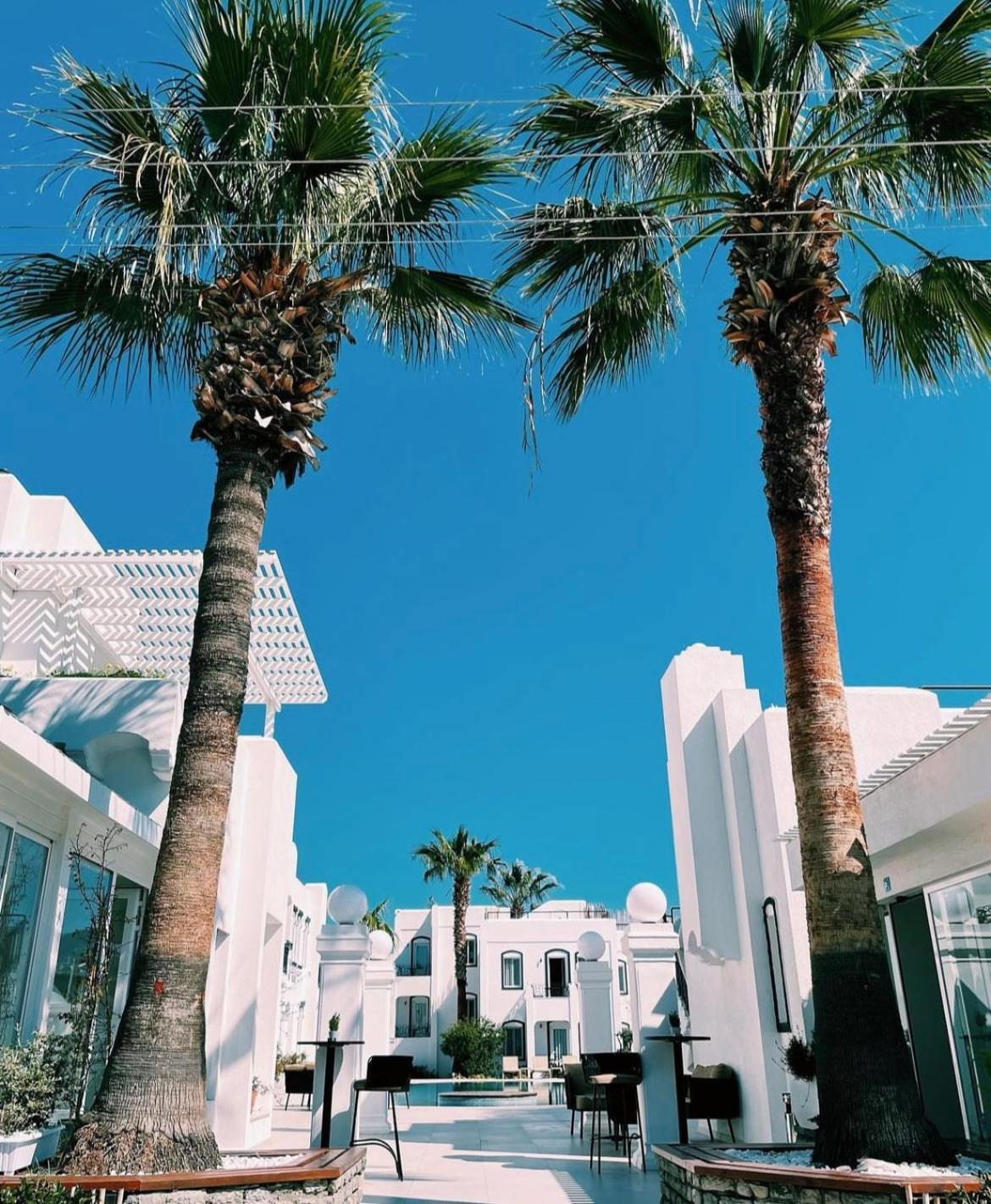 יאליקאבאק Yalinn Boutique Hotel מראה חיצוני תמונה